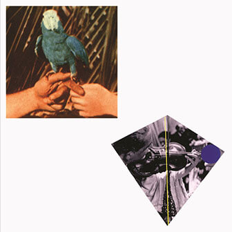 Are You Serious album cover, by Andrew Bird